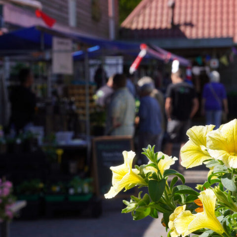 Natuurmarkt Kruidhof